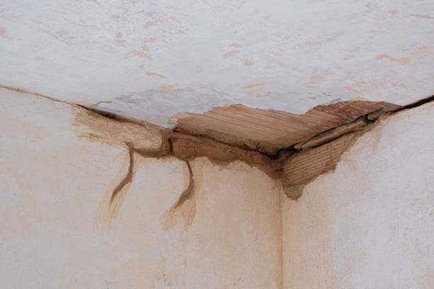 Water damage restoration process in NV