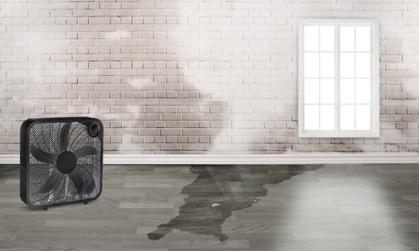Best Emergency water damage restoration  in Sunrise Manor, NV