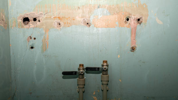Best Flood restoration services  in Sunrise Manor, NV