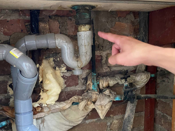 Best Water damage restoration mold remediation  in Sunrise Manor, NV
